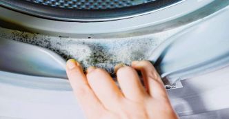 Comment nettoyer la saleté et la moisissure du joint de la machine à laver ?