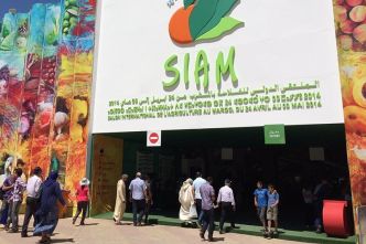 Nouvelle dynamique de collaboration agricole entre le Maroc et le Royaume-Uni au 15ème SIAM