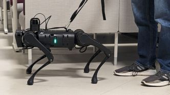 Une université développe un robot-chien pour guider les aveugles