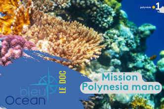 Bleu Océan : Mission Polynesia mana