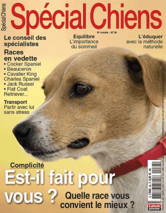 Magazine Special Chiens : abonnement 2 ans pas cher à 19€ (au lieu de 55 )