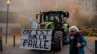 Déclassement, endettement, normes européennes... les raisons de la colère des agriculteurs français