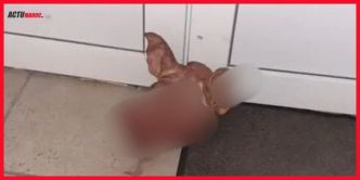 Une tête de porc a été retrouvée devant la porte de la mosquée de Saint-Omer