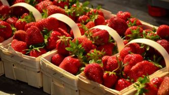Les fraises de retour en supermarché dès le mois de mars faut il en acheter ?