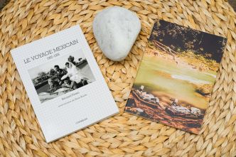 Revue de livre : Le Voyage Mexicain, Jungle de Bernard Plossu