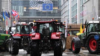Ukraine: accord dans l'UE pour plafonner les importations de volailles, maïs et avoine