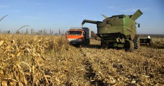 Agriculture. Les importations de volailles, maïs et avoine d'Ukraine plafonnées en Europe