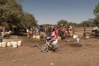 Réfugiés soudanais au Tchad : une inquiétante propagation d'hépatite E