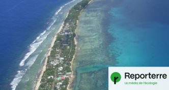 Asile climatique : le traité historique entre l'Australie et Tuvalu avance