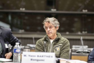 Yann Barthès face au RN à l'Assemblée : la commission sur la TNT vire un peu plus au happening