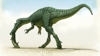 Découverte d'un nouveau dinosaure en Espagne