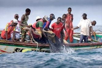 Gabon : la pêche suspendue dans lestuaire du Komo après la mort suspecte des poissons (Autre presse)