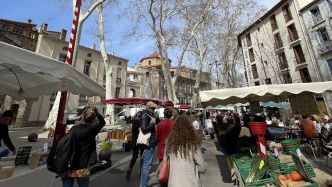"Votre plus beau marché de France" sur TF1 : le marché de Céret parviendra-t-il à se démarquer pour représenter la région Occitanie lors du concours national ?