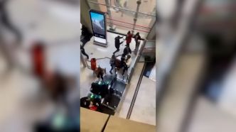 VIDÉO. Bagarre à l'aéroport de Roissy entre manifestants et agents de sécurité contre l'expulsion d'un militant kurde