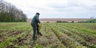 Crise agricole : les agriculteurs européens dénoncent «une demi-réponse» de l'UE