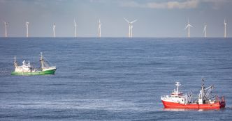 Taxe éolien en mer : l'association Bloom dénonce une mainmise de la pêche industrielle