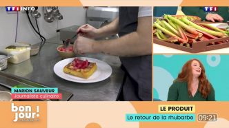 Bonjour ! La Matinale TF1 - A table avec Marion Sauveur : La rhubarbe à l'honneur ! | TF1 INFO