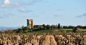Vin. Dégustation de douze cuvées de châteauneuf-du-pape, des vins puissants et racés