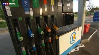 VIDÉO - Gironde : pourquoi des automobilistes ont-ils retrouvé de l'eau dans leur carburant ? | TF1 INFO