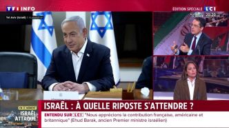 Le 20H Darius Rochebin du Dimanche 14 avril | TF1 INFO