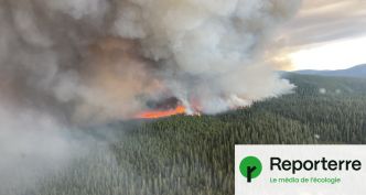 Feux de forêt : le Canada se prépare « au pire », avec moins de pompiers