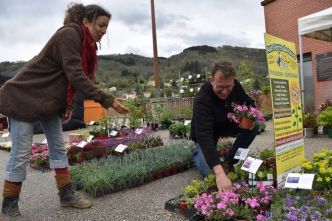 Les amoureux du jardinage se donnent rendez-vous pour la troisième édition de Ça bourgeonne à Thiers