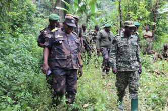 Beni: 5 ADF neutralisés et un autre capturé par la coalition FARDC-UPDF