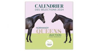 Normandy Queens Auction 2024 : découvrez le calendrier des sélections !