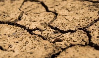 Tunisie : Cinquième pays le plus exposé au risque de sécheresse et de pénurie d’eau