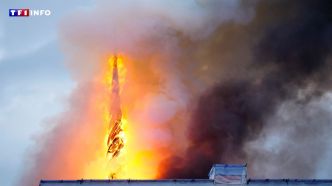 Incendie de la vieille Bourse de Copenhague : la pointe de la flèche retrouvée miraculeusement intacte | TF1 INFO