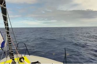 Transat Belle-Île-en-mer / Marie-Galante : "Captain alternance" skippé par Kéni Piperol joue la carte sud