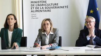 Agnès Pannier-Runacher a lancé la concertation sur la réforme du conseil stratégique à l'utilisation des produits phytopharmaceutiques et l'adaptation de la séparation de la vente et du conseil