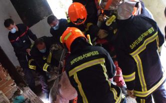 Ue truie de 200 kg tombe dans une fosse à lisier, 27 pompiers mobilisés pour la sauver