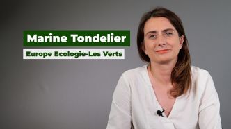 Européennes : Les Ecologistes veulent mettre les bouchées doubles à La Réunion