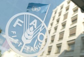 La Centrafrique et la FAO signent un accord de financement pour la gestion des paysages dégradés (Xinhua)