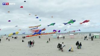 Un festival de couleurs : des centaines de cerfs-volants dans le ciel de Berck-sur-Mer | TF1 INFO
