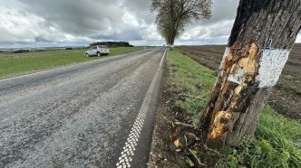 Troisvierges: Une voiture percute un arbre, un blessé grave