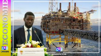 Renégociation des contrats d'hydrocarbures au Sénégal: l'option "risquée" du Président Faye