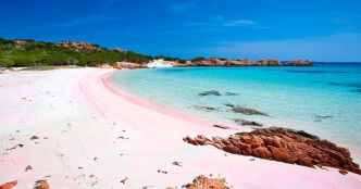 Si vous visitez cette plage de sable rose italienne, cela va vous coûter une fortune