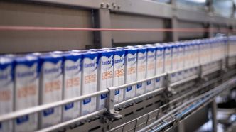 "Pas de risque pour les consommateurs": des traces du virus H5N1 détectées dans du lait pasteurisé aux États-Unis