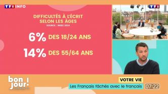 Bonjour ! La Matinale TF1 - Les Français fâchés avec le français | TF1 INFO