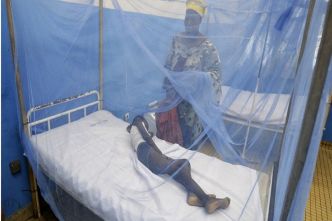 Santé: «Le traitement du paludisme simple est gratuit pour tous les âges dans les hôpitaux publics en Côte d'Ivoire»