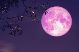 Pleine Lune Rose d'avril : calculez son influence sur votre sommeil