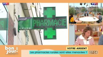 Bonjour ! La Matinale TF1 - Les pharmacies rurales sont-elles menacées ? | TF1 INFO