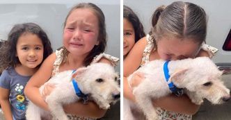 Le récit émouvant de la réunion entre une jeune fille et son chien perdu : une lueur d’espoir dans l’obscurité