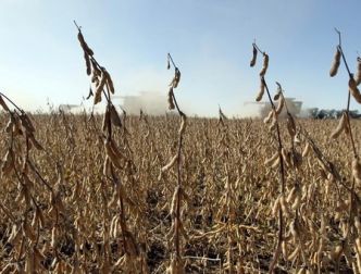 Le blé grimpe en raison de la persistance des craintes liées au temps sec