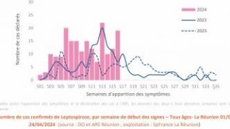 191 depuis le 1er janvier : Leptospirose : l'épidémie se poursuit avec une nouvelle augmentation du nombre de cas