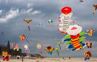 Festival international de Berck-sur-Mer : Pourquoi le cerf-volant n'est-il pas un sport olympique ?