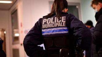 Marseille : intercepté avec plus de 200 cartouches de cigarettes, il fuit la police... et dépose plainte pour vol