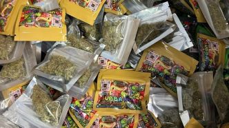 Val-d'Oise : près de 50 kilos de cannabis confisqués sur le point de deal des Brouillards